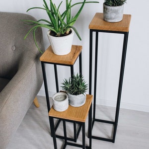 Op de afbeelding: Drie zwarte metalen plantenstandaards met houten planken, elk met een potplant. De standaards zijn op elkaar gestapeld, met de hoogste links en de laagste rechts. De planten zijn een succulent, een aloë vera en een andere succulent.