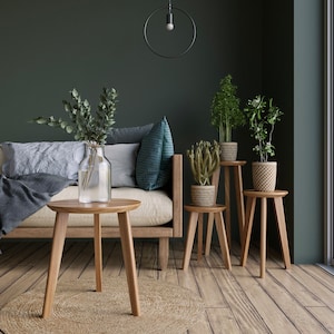 May include: A living room with a couch, three wooden side tables, and a variety of plants in pots. The walls are a dark green, and the floor is a light wood.