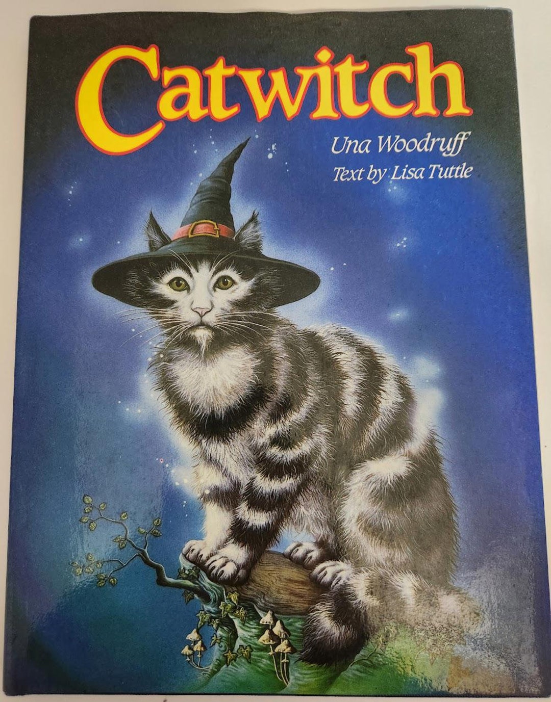 Catwitch Una Woodruff 1983 First Edition Hardback Dust Jacket Fairy ...