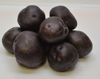 Blackberry Seed Potatoes Purple Flesh Potato Bulbs 2026 Sustainable NON GMO 2lb
