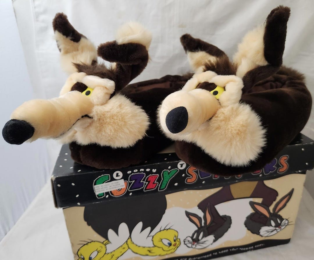 wile e coyote lebron shoes