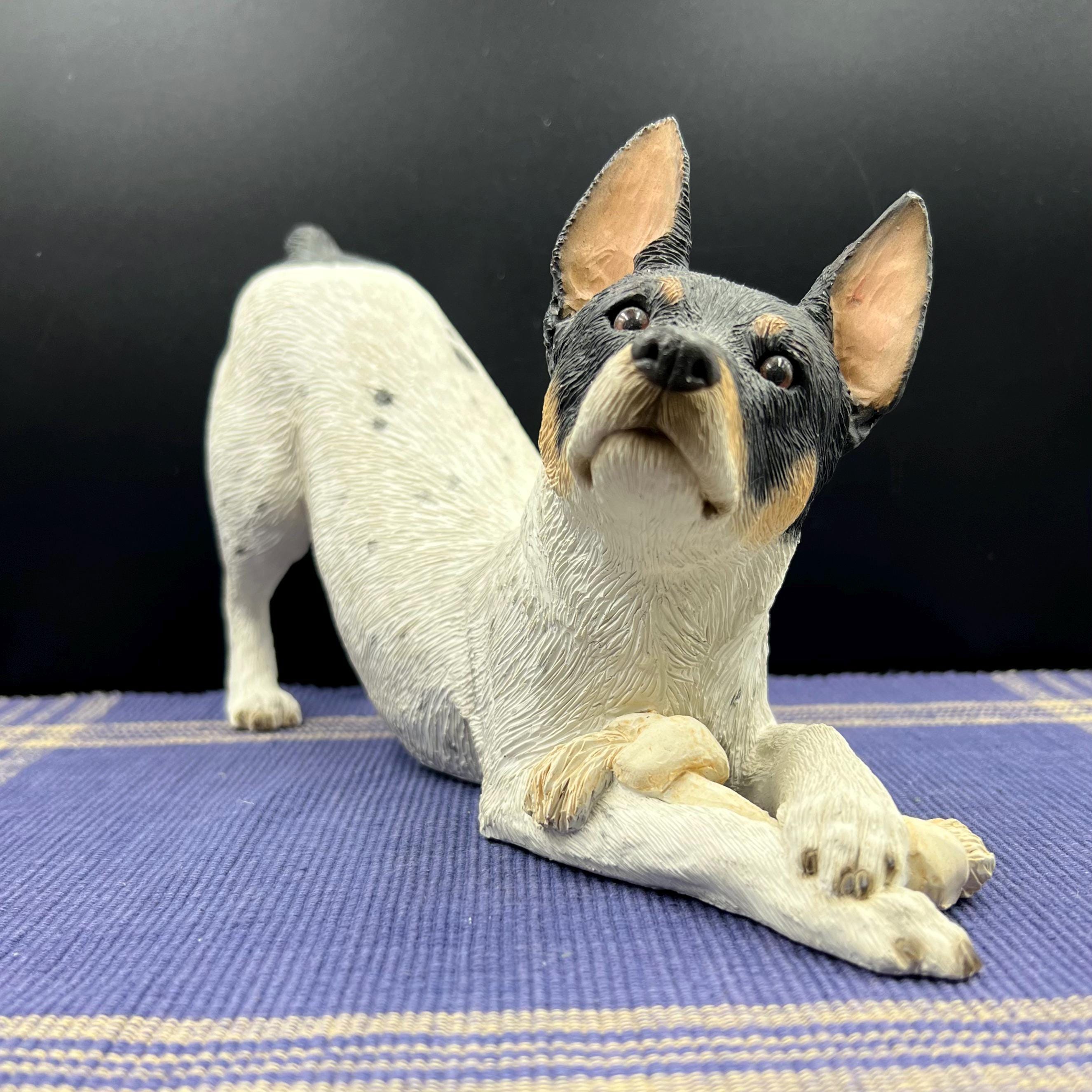 Terrier Breed Toy Rat Fair Oaks Rat Terriers Largescale Lifelike