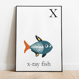 X Ray fish for letter X. capital letters for kids room decor. Nursery and baby shower panels for gift giving. Animals themed room