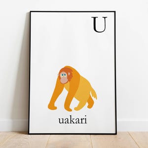 Uakari monkey is for letter U for kids room decor. Animal letters for children room, Animal themed room and baby shower gift for newborn
