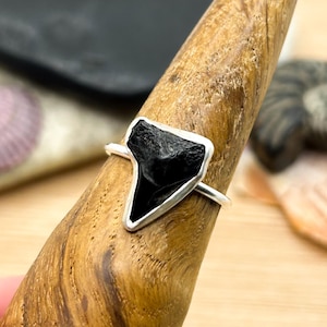 Anel com dente de tubarão fossilizado | Prata de lei reciclada | Tamanho N (Reino Unido)