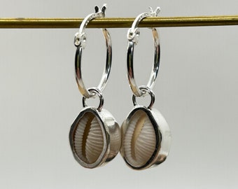 Cowrie Shell Hoop Earrings | Sterling Silver | Isle of Wight Shells