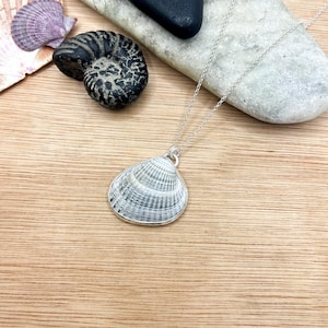 May include: A silver necklace featuring a pendant shaped like a natural seashell with fine ridges and a grey and white pattern. The pendant hangs from a delicate silver chain, resting on a light wood surface near a dark ammonite fossil.