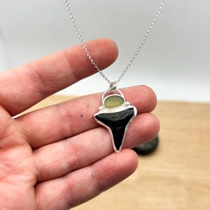 Versteinerte Haifischzahn Halskette aus Silber | Silberfossil Anhänger
