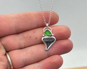 Silver Fossilised Shark Tooth Necklace | Silver Fossil Pendant