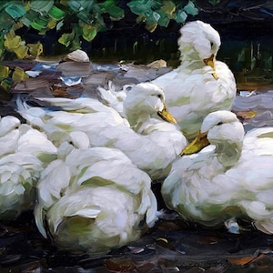 May include: An oil painting depicting a group of five white ducks with yellow beaks resting on a dark, textured ground. The brushstrokes are visible and expressive, capturing the soft, layered feathers of the ducks against a dark background.
