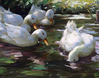 Four Ducks on the Pond Painting by Alexander Max Koester Art Print Reproduction