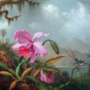 Orchids and Hummingbirds Painting by Martin Johnson Heade Art Reproduction