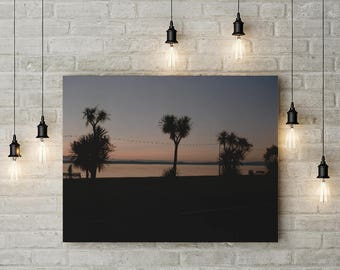 Beach Photography Print, Film Print Coastal Wall Art, Sunset Palm Tree Print, Horizonism Photography Print, Scotland Film Print, Ocean Print