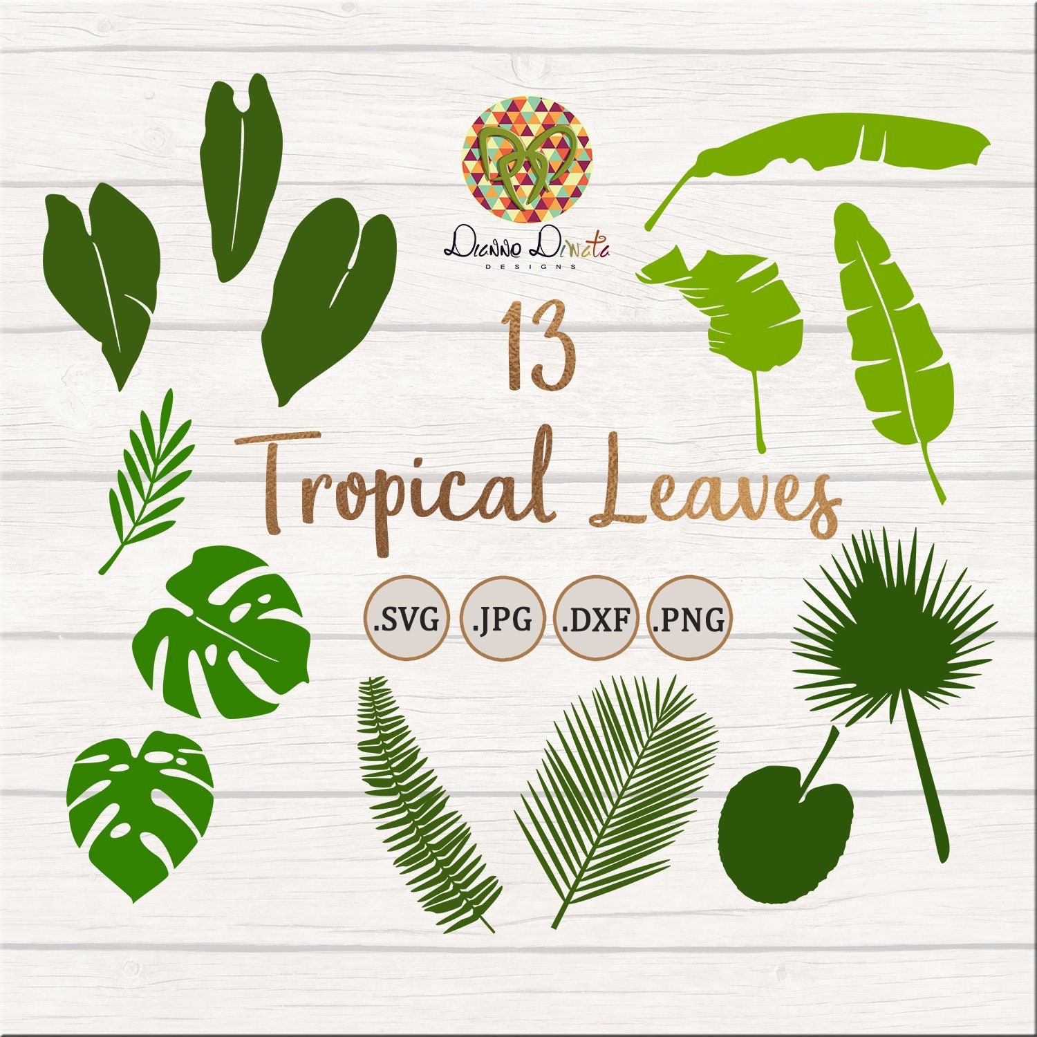 Download Tropical Leaves Svg Jungle Leaf Clipart Monstera Leaf Palm Etsy