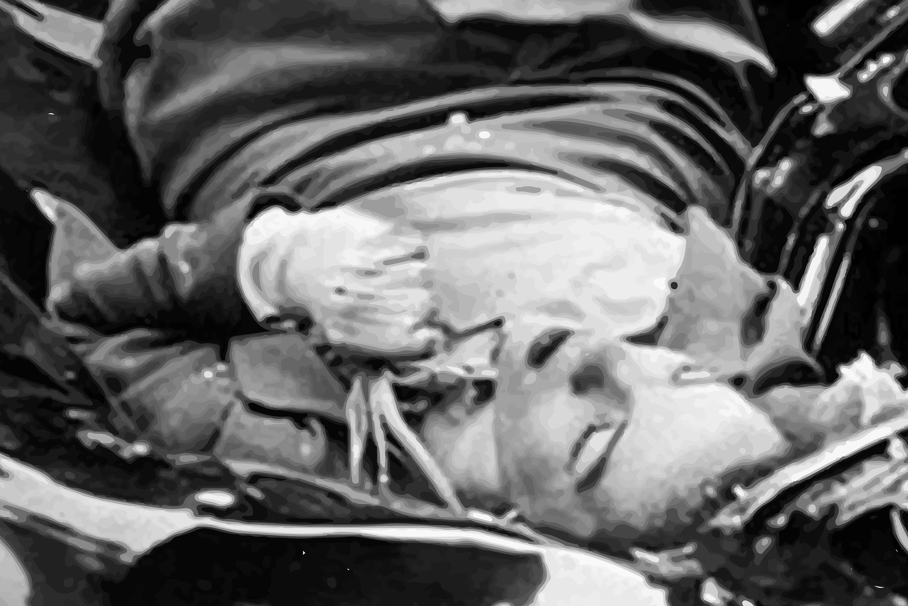 Evelyn Mchale Print Empire State Suicide Black and White - Etsy Canada