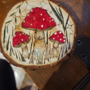 Woodburned Live Edge Coasters - Nature