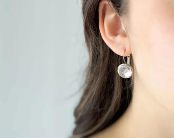 Silver and Czech Crystal Dangle Earrings, Steel Drop Earrings Gift for Her by Green Bijou, E2101-S-FC
