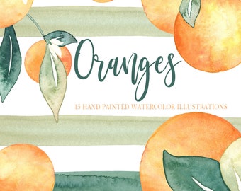 Watercolor Orange fruit & greenery clip art, modern fruits illustration, Watercolor Orange, Trendy Orange Clipart, Oranges Clipart, Greenery