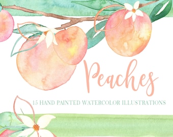 Peaches watercolor clipart, Peaches illustration, Watercolor fruit, Blush Floral, Fruit Clipart, Peaches branch, Kitchen decor, Digital, PNG