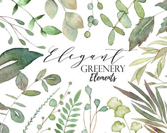 Green Watercolor Leaves, Fern Clipart, Forest PNG, Greenery Aquarel Clipart, Eucalyptus Clipart, Instant Download, Foliage