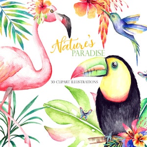 flamingo watercolor clipart, aquarel toucan,  tropic hibiscus illustration, hawaii clipart, beach clipart, watercolor summer png