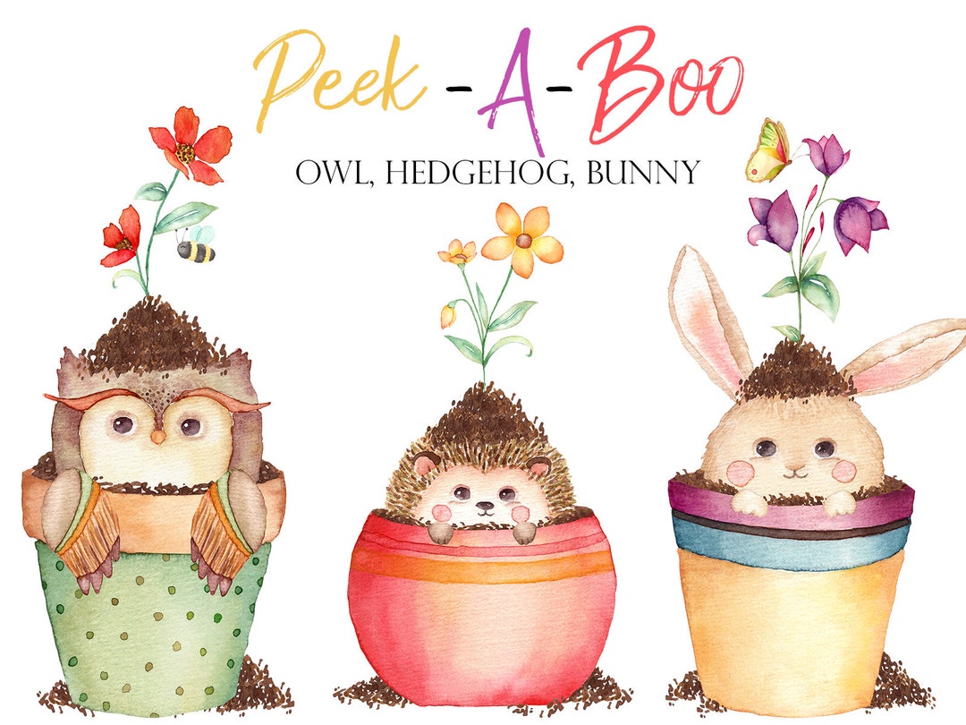 Woodland Animal Clipart, Owl Clipart, Woodland Graphic, Kids Png, Owl