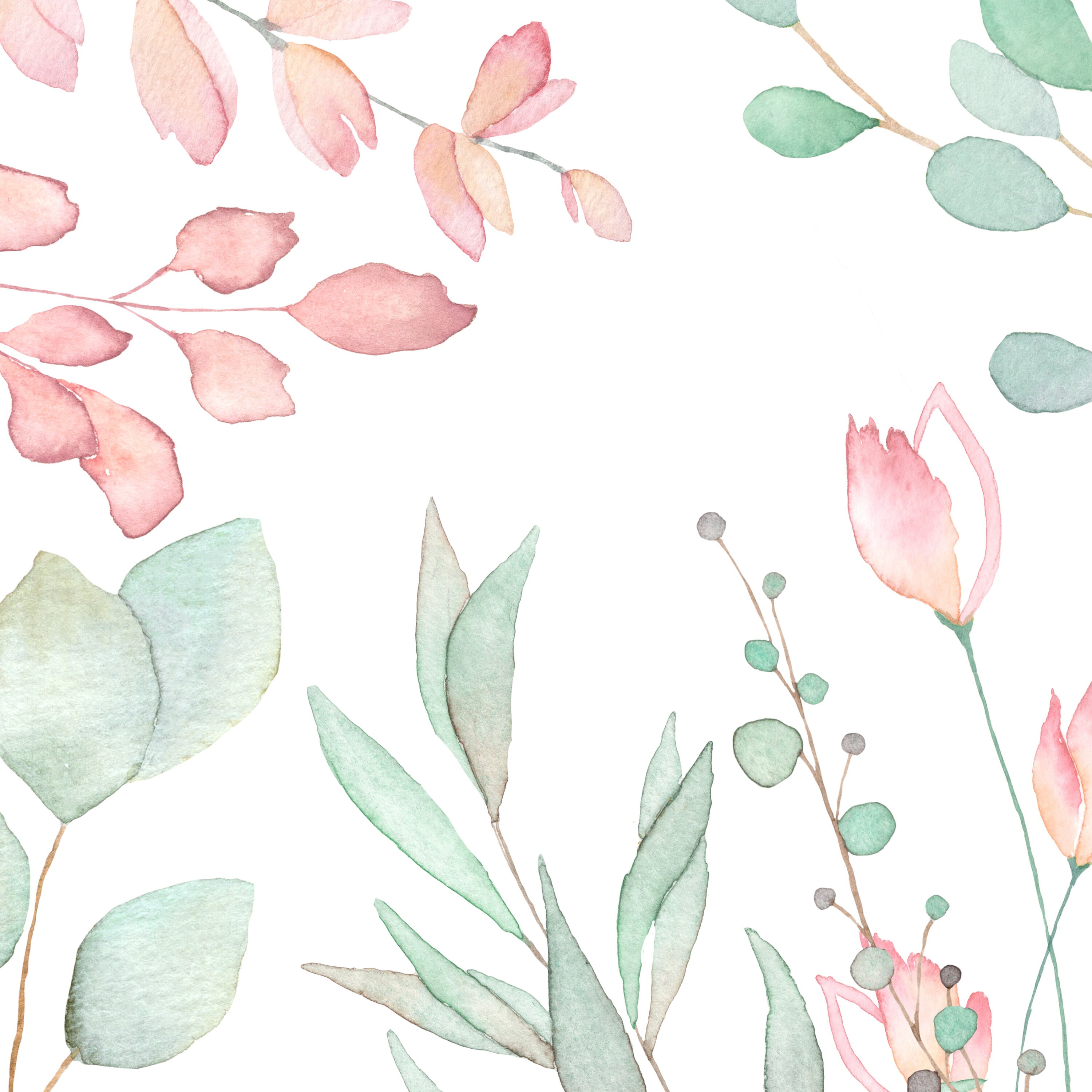 Eucalyptus Clipart Greenery Watercolor Blush Floral Clipart - Etsy