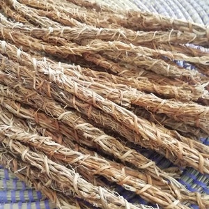 25 Organic Vetiver Roots