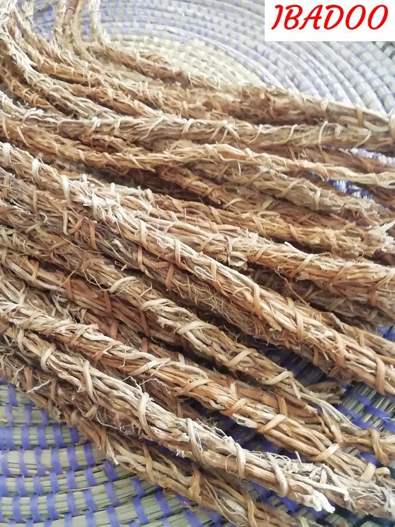 25 Racines de Vétiver Bio, Organic