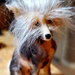 Etsy 2025 dog stuff