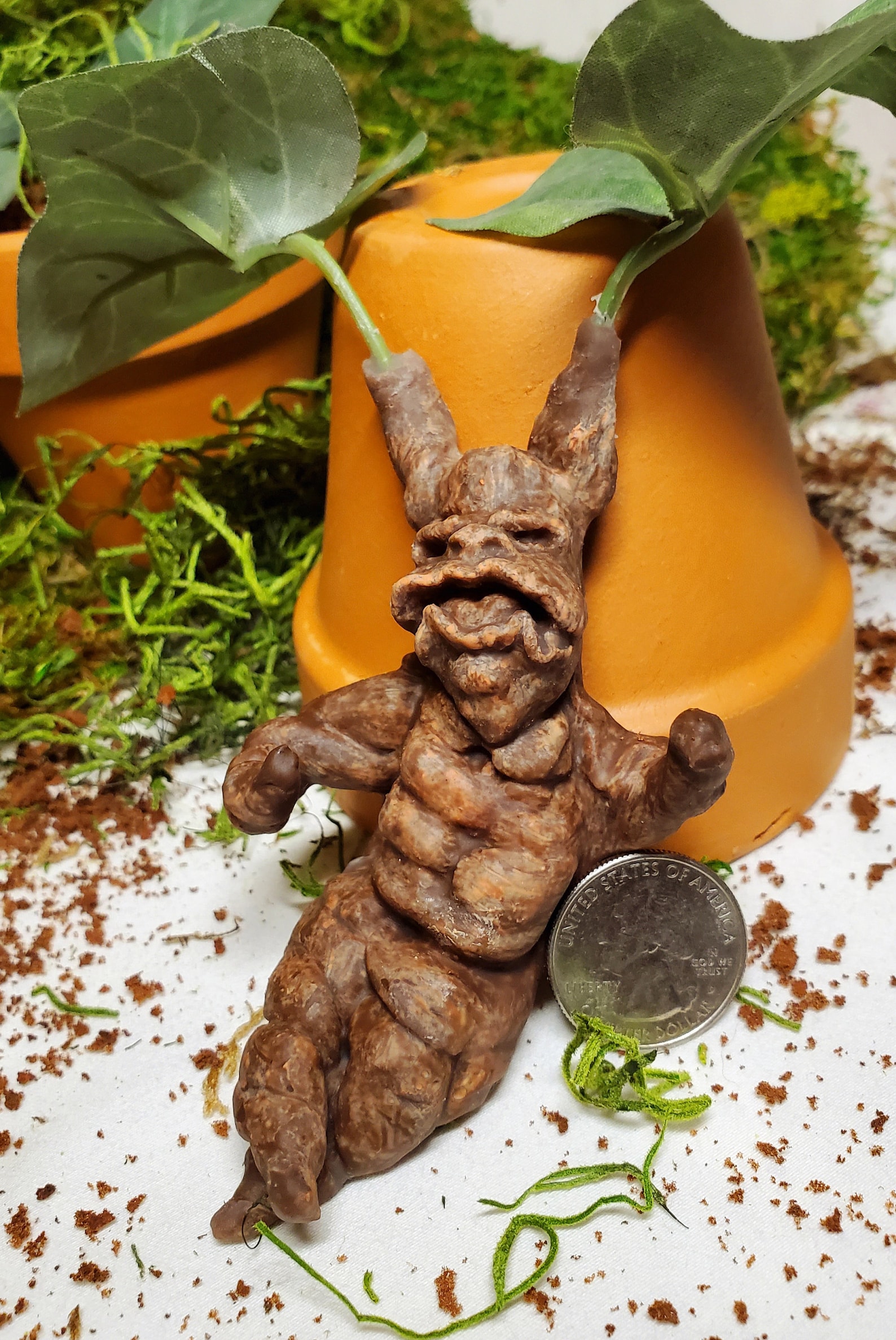 mandrake root mandrake root