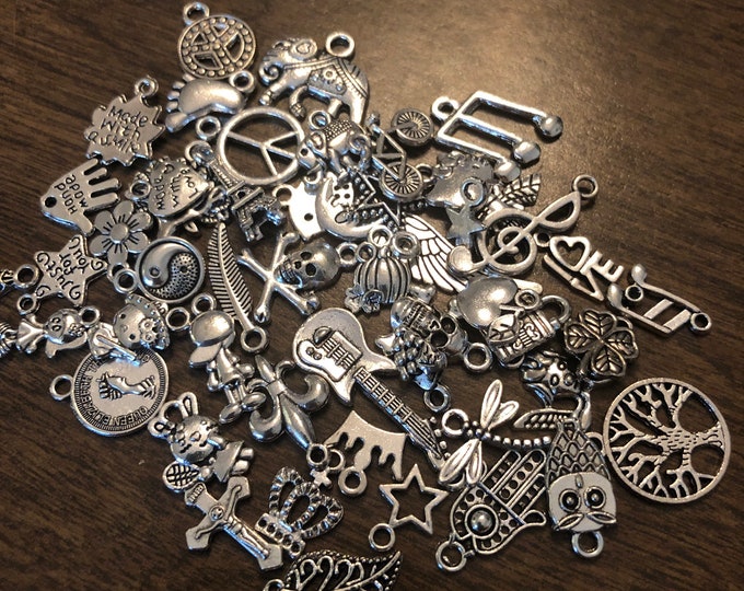 Assorted Charms for Jewelry Making (50)