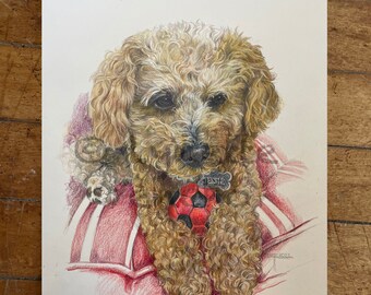 Original Pet Portraits in Colored Pencil, Custom pet painting/drawing from photo, commission pet portrait, pet face painting,