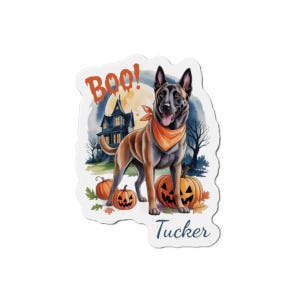 May include: A Halloween-themed sticker featuring a Belgian Malinois dog wearing an orange bandana, standing in front of a haunted house and pumpkins. The word "Boo!" is above the dog, and the name "Tucker" is below.