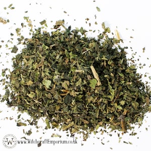 Brennnessel - Kräuter Bio Natürlich Vegan Pagan Wicca Wicca Zaubertrank Ritual Magie Magick Energie Tee