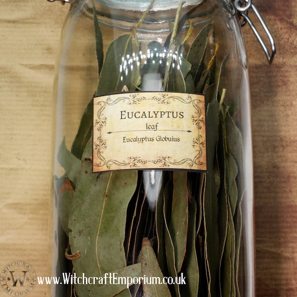 Eucalyptus Leaves - Herb Organic Natural Vegan Pagan Wicca Wiccan Spell Potion Ritual Magic Magick Energy Tea