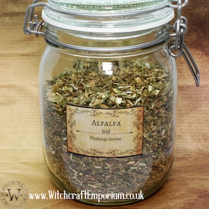 Alfalfa - Herb Organic Natural Vegan Pagan Wicca Wiccan Spell Potion Ritual Magic Magick Energy Tea