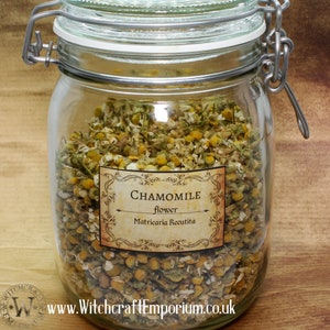 Chamomile - Herb Organic Natural Vegan Pagan Wicca Wiccan Spell Potion Ritual Magic Magick Energy Tea