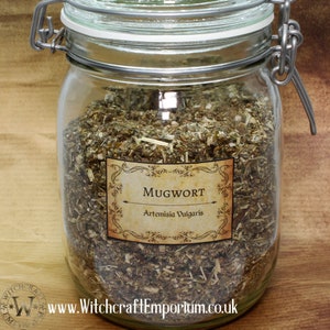 Mugwort - Herb Organic Natural Vegan Pagan Wicca Wiccan Spell Potion Ritual Magic Magick Energy Tea