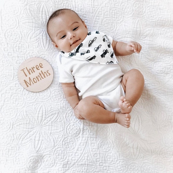 etsy baby milestone