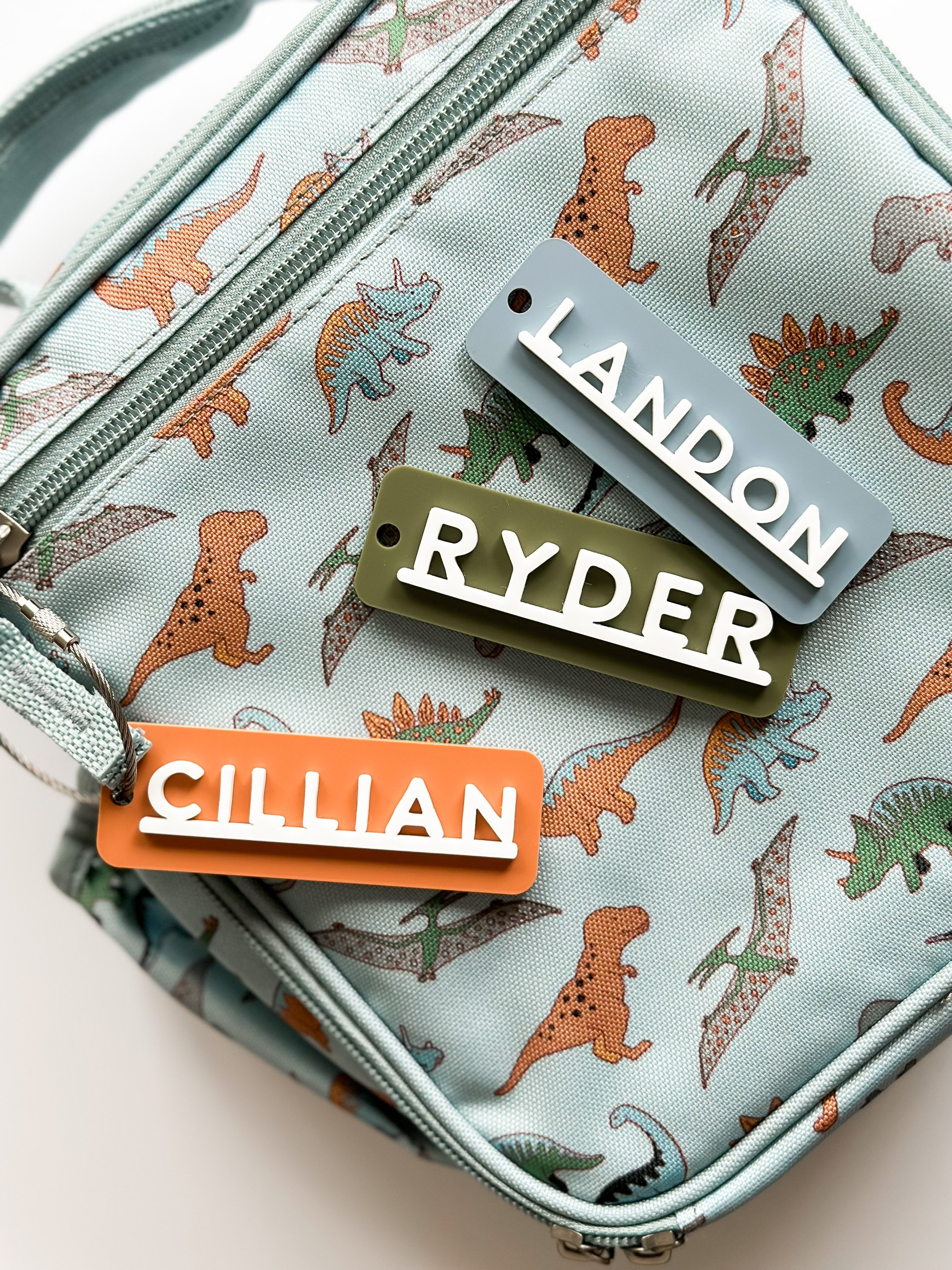 Acrylic Bag Tag Keychain 3D KeyChain Acrylic Name Tag Bag Tag Luggage Tag Diaper Bag Tag Lunch Box Tag Backpack Tags Kids Tag