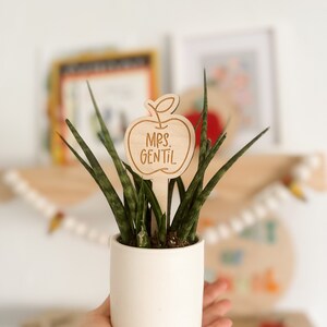 Teacher Plant Marker Teacher Gift Teacher Appreciation Gift image 4