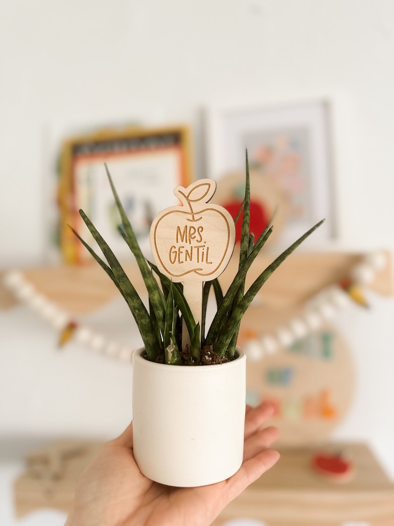 Teacher Plant Marker Teacher Gift Teacher Appreciation Gift image 4