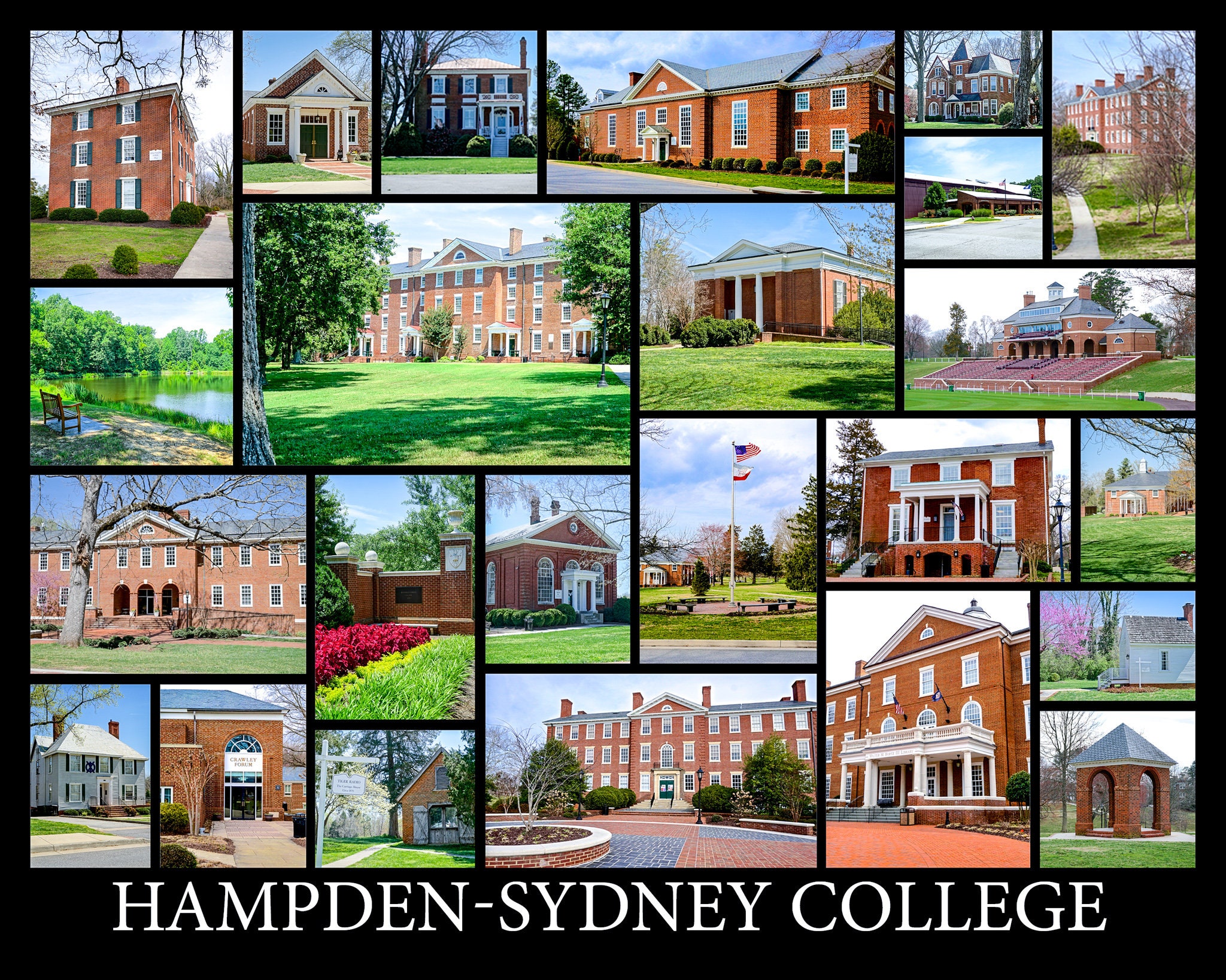 HampdenSydney College Etsy