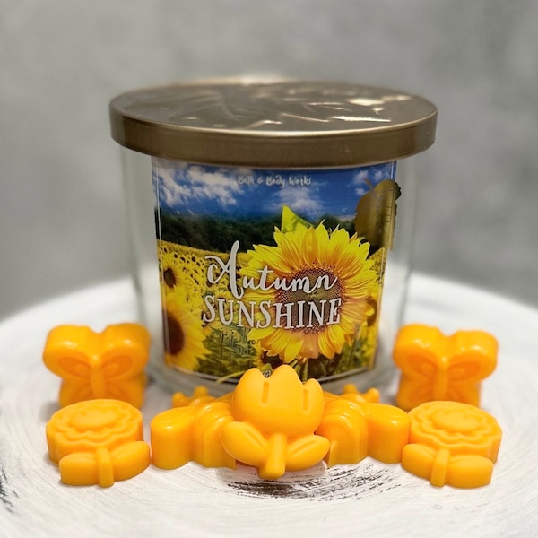 Autumn Sunshine Wax Melts, Bath and Body Works Wax Melts, Amber Scents