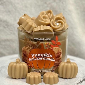 Pastillas de cera aromáticas con aroma a calabaza y galletas Snickerdoodle: aroma a panadería, hechas a mano.
