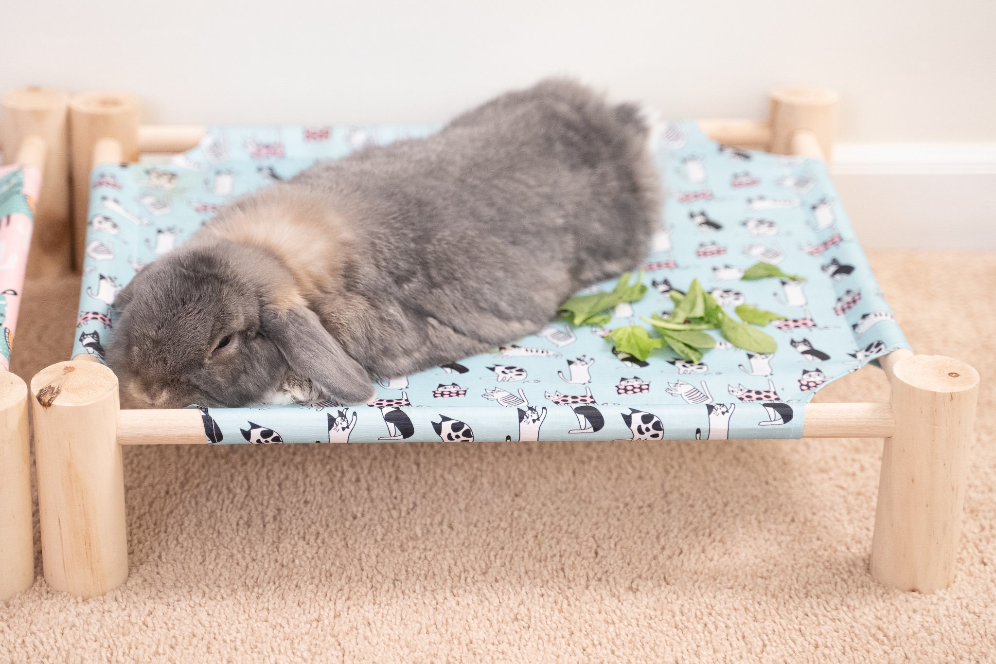 Rabbit Elevated Wooden Bed Hammock Kilndried Pine Pet Cot for Etsy UK
