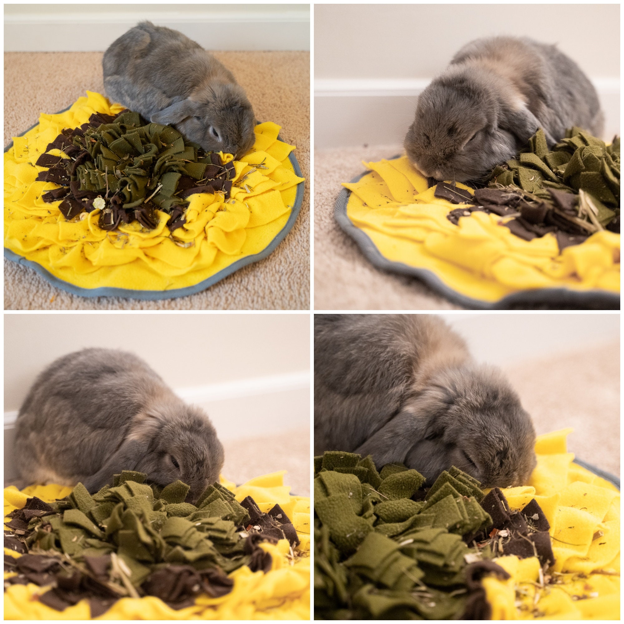 Snuffle Mat for Rabbits Bunnies Forage Skill Training Etsy