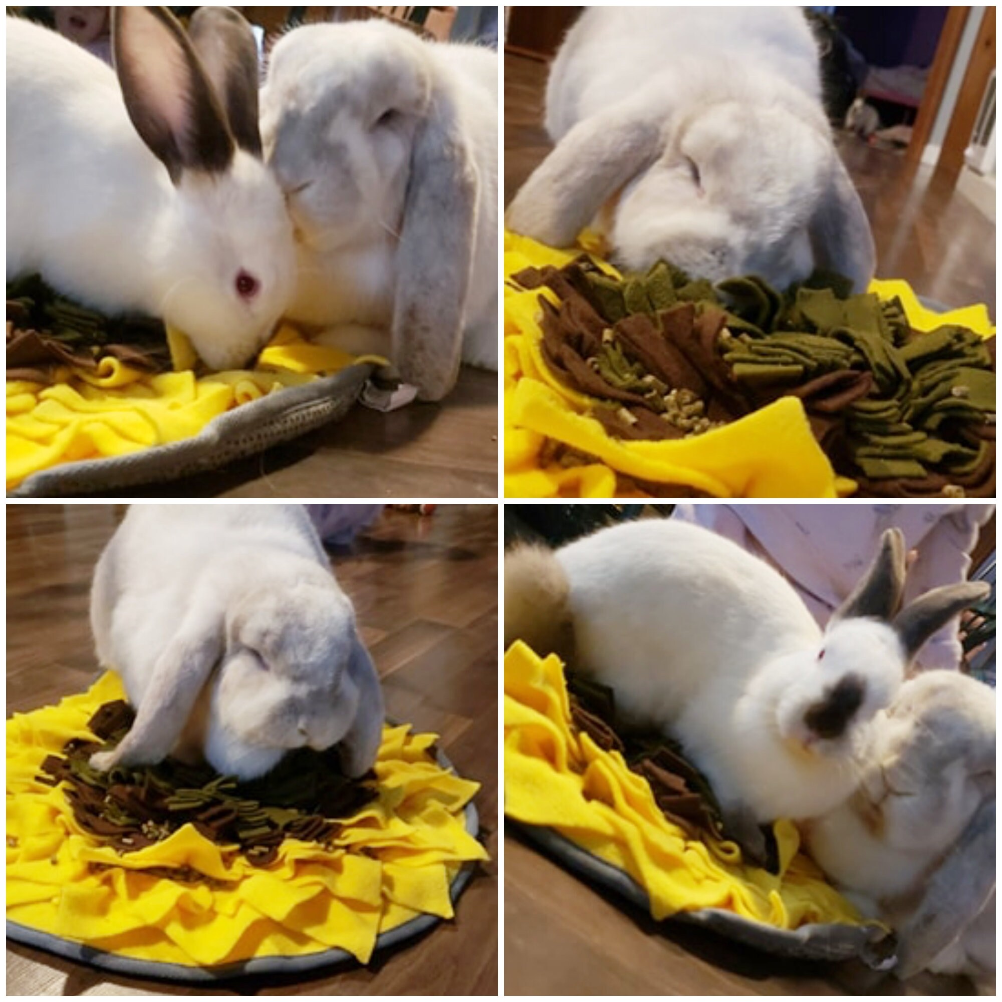 Snuffle Mat for Rabbits Bunnies Forage Skill Training Etsy