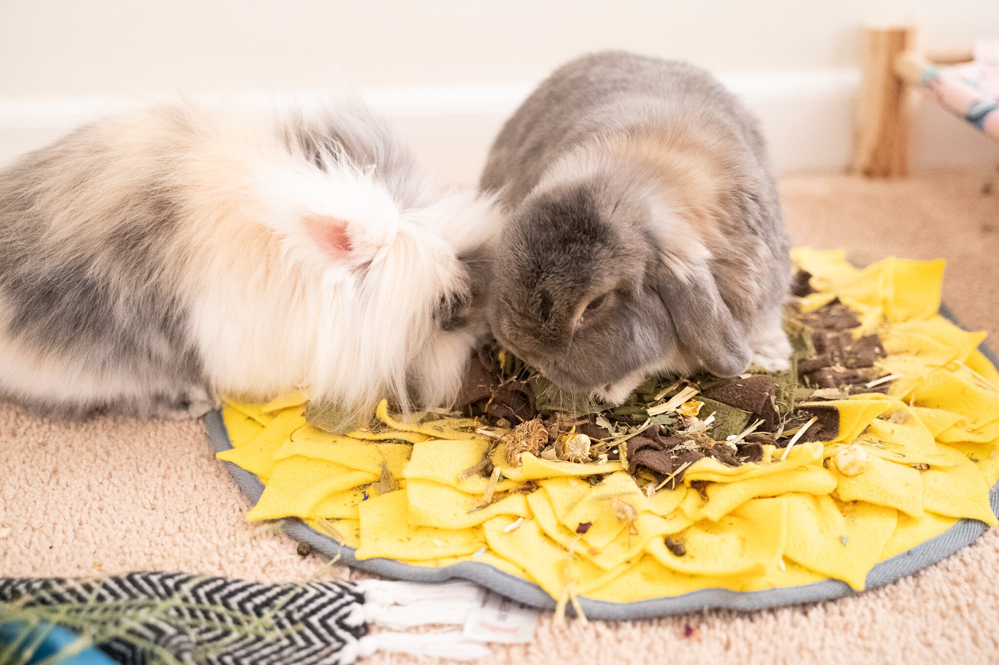 Snuffle Mat for Rabbits Bunnies Forage Skill Training Etsy